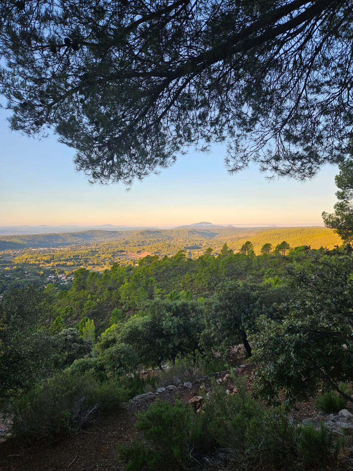 A Return to Love gallery image 6